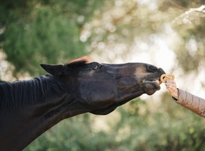 Candy Horse Kruiden Pretzels