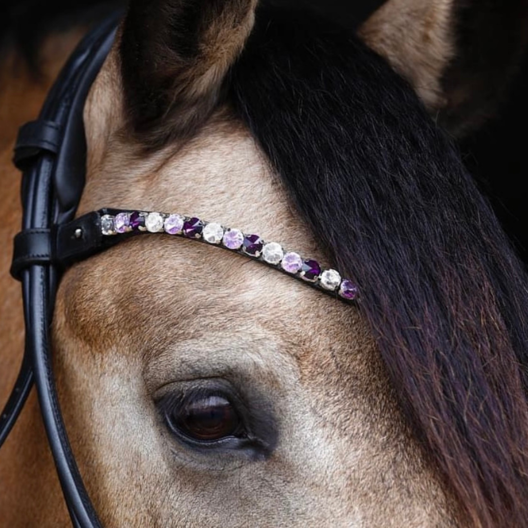 SD® L'Unique Frontriem (Purple Dream)