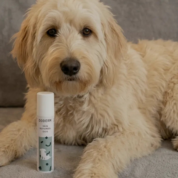 Doderm Skin RepairGel Hond
