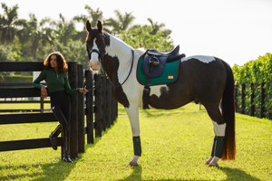 Equito Zadeldek - Evergreen Bronze