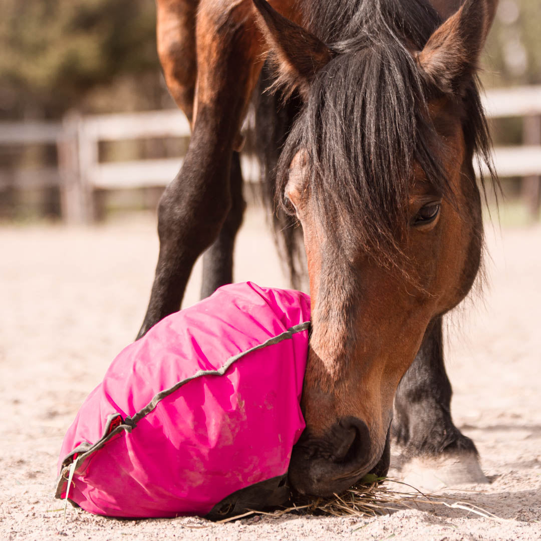 Heica Fluffy Feeder
