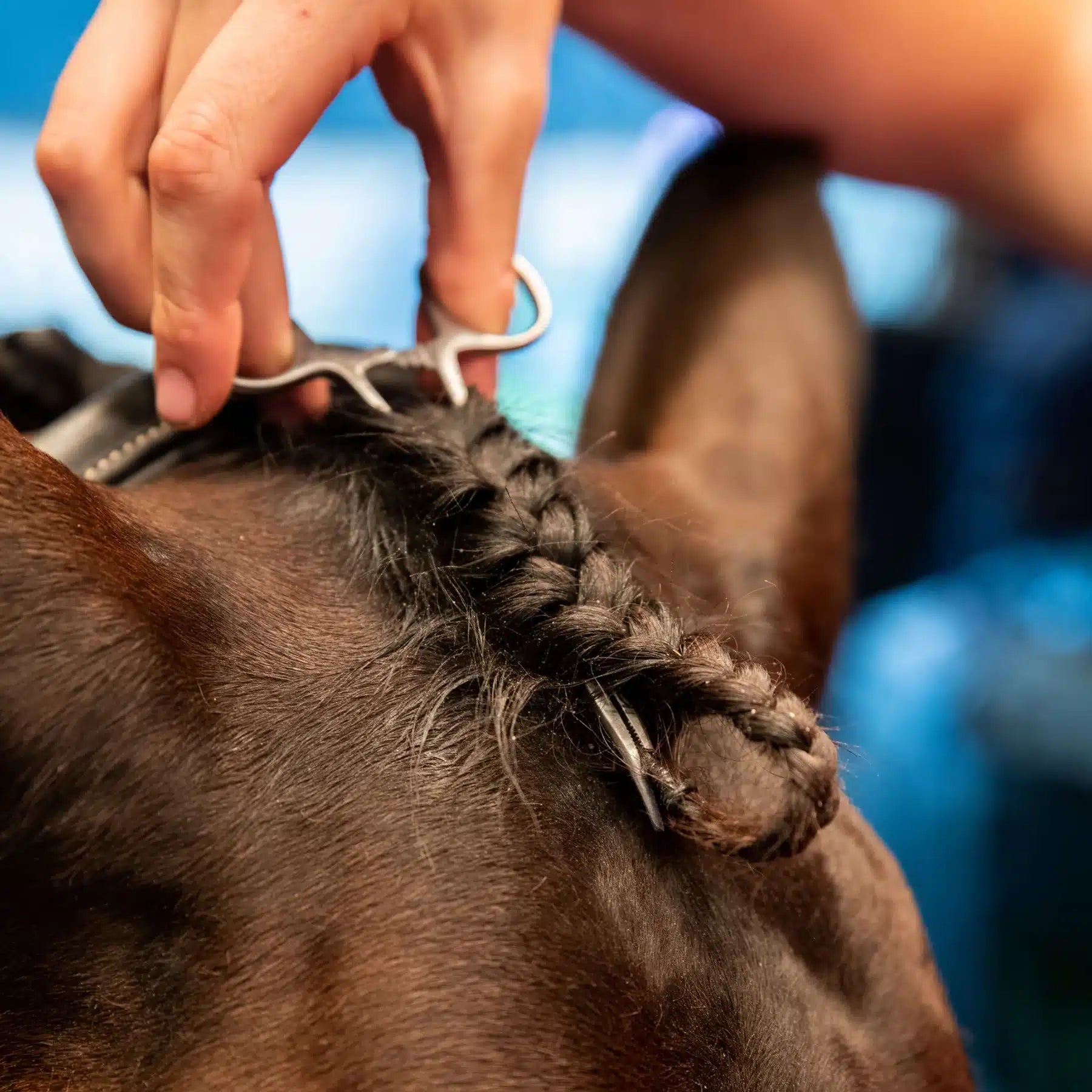Smart Grooming Voorpluk Vlechttang