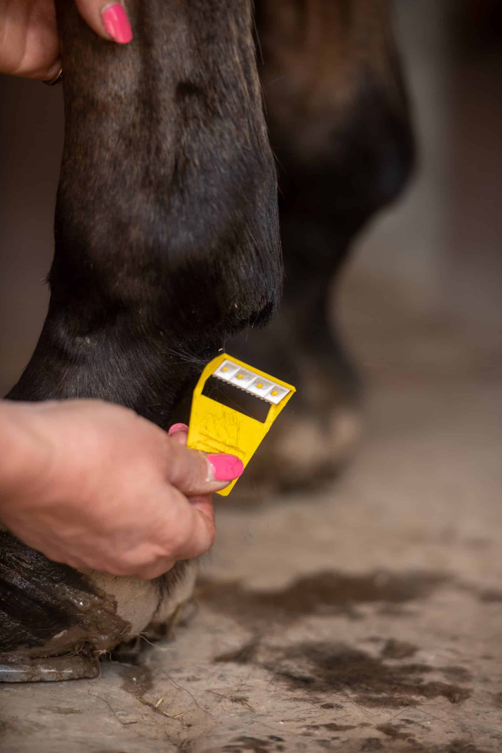 Smart Grooming Equi-Shave