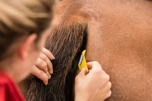 Smart Grooming Equi-Shave