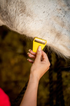 Smart Grooming Equi-Shave