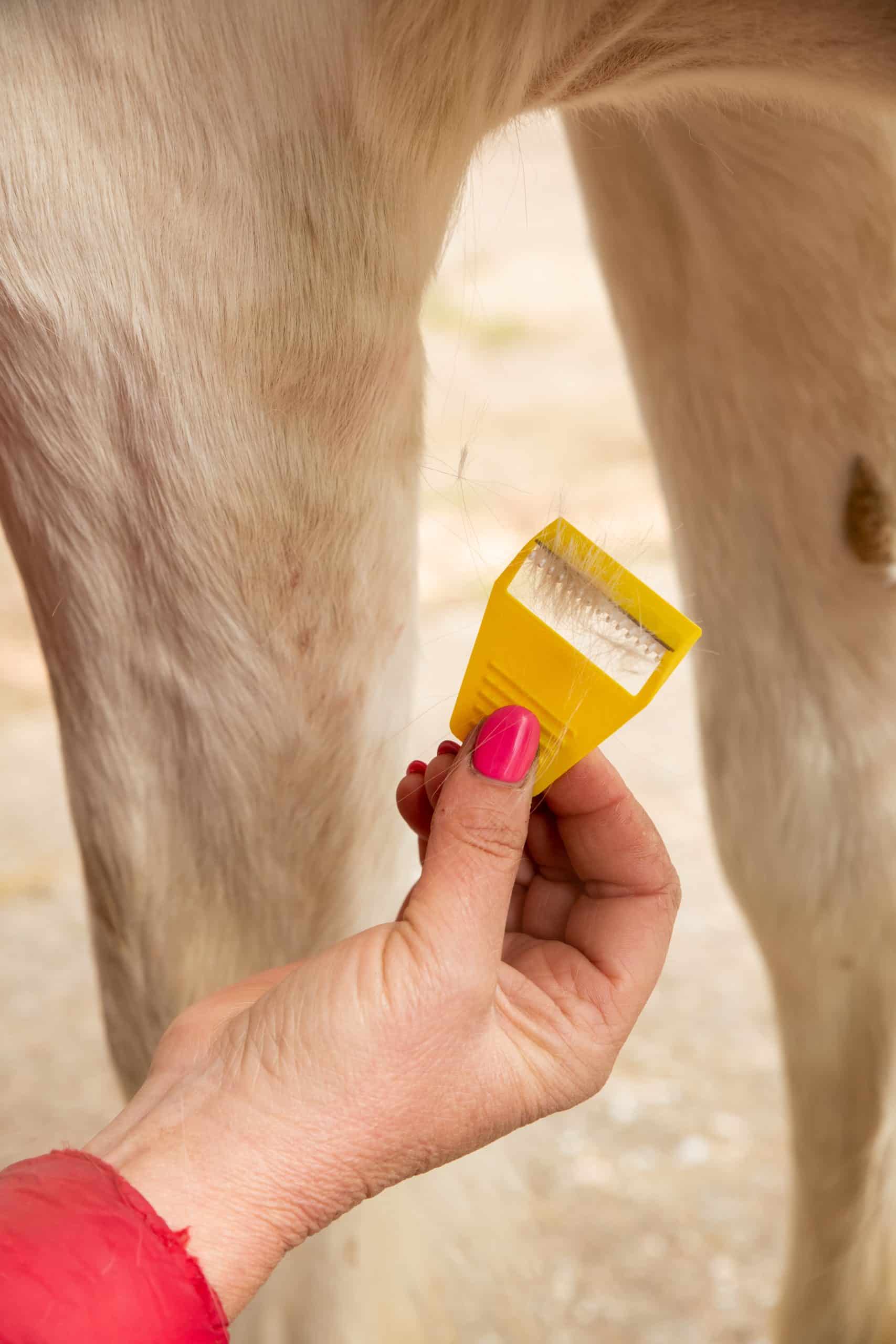 Smart Grooming Equi-Shave