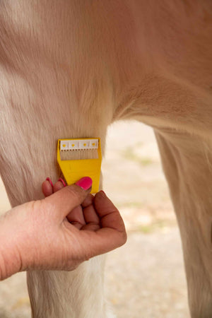 Smart Grooming Equi-Shave