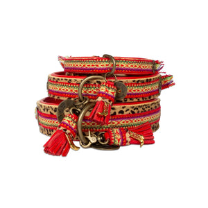 DWAM Gypsy Hondenhalsband