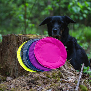 Heica Hei-Toy Frisbee