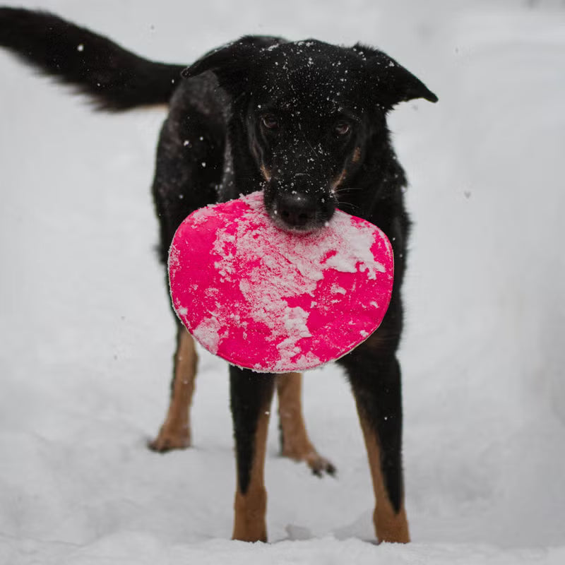 Heica Hei-Toy Frisbee
