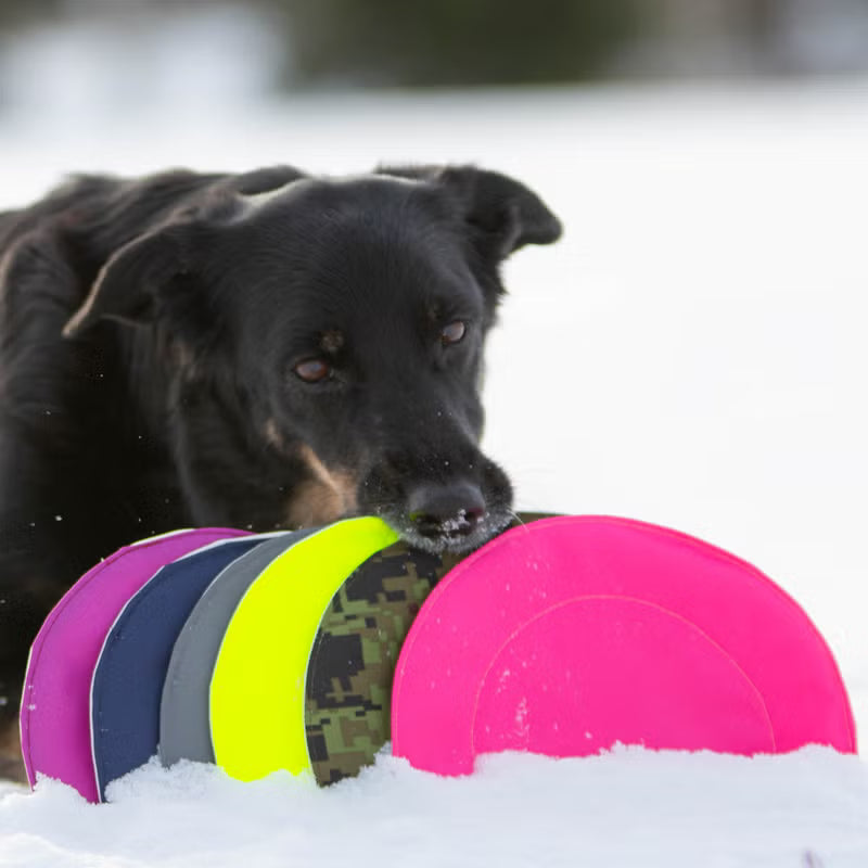 Heica Hei-Toy Frisbee