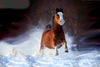 Horsefood Speed-Mix - Horse Musthaves
