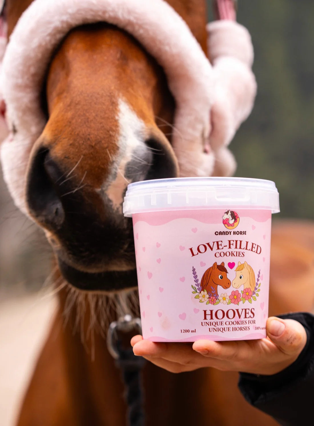 Candy Horse Valentine Love Filled Hooves