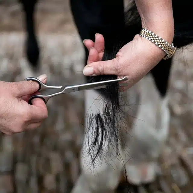 Smart Grooming Rechte Veiligheidsschaar