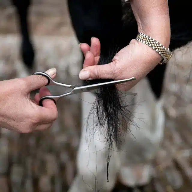 Smart Grooming Rechte Veiligheidsschaar