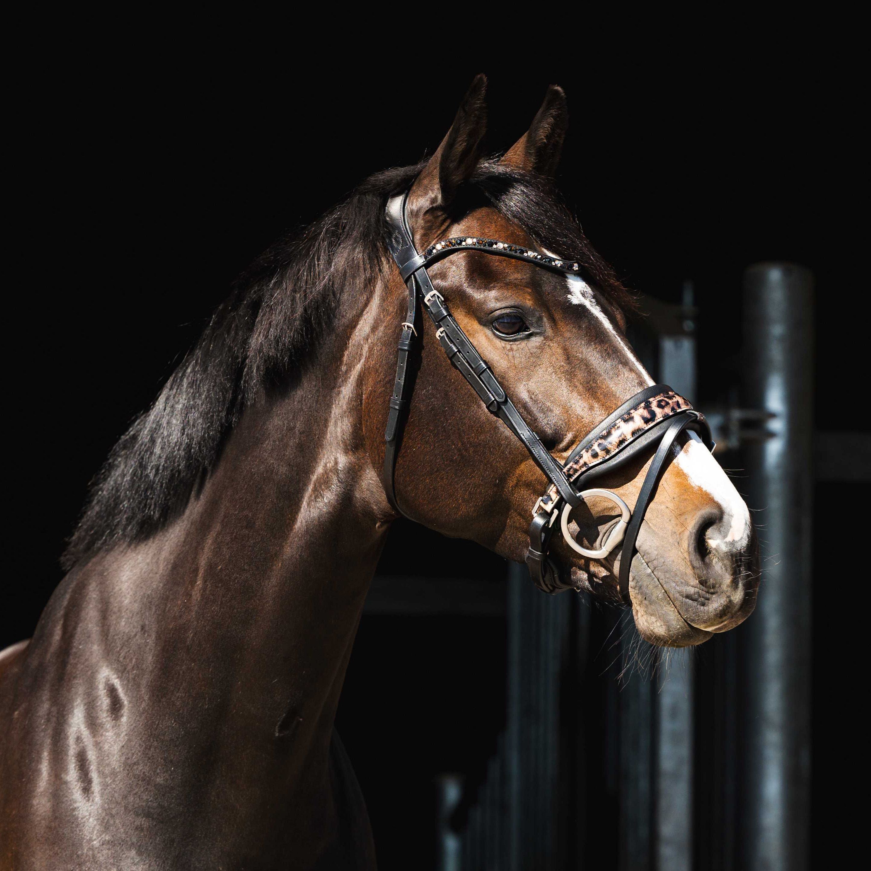 HB Showtime Hoofdstel Luipaard