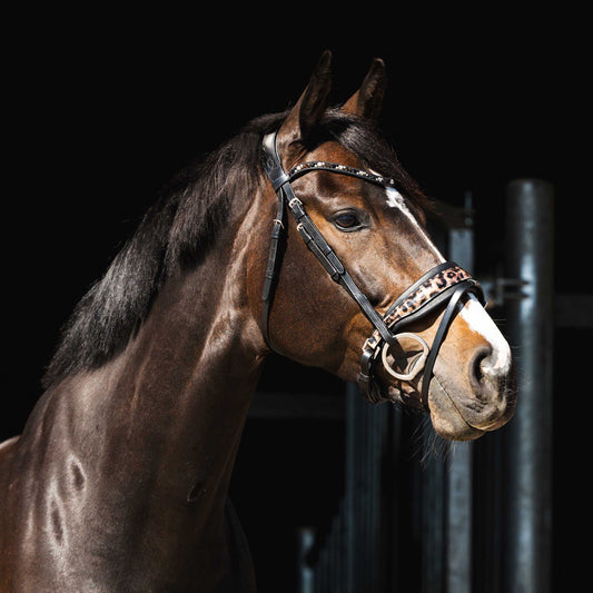 HB Showtime Hoofdstel Luipaard