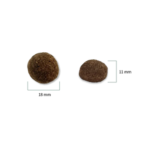 Pharmox Nutra Senior
