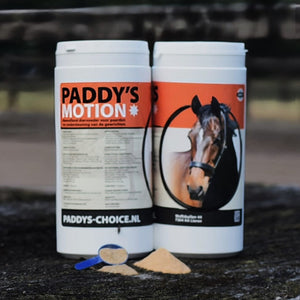 Paddy's Motion