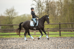 Equito Bandages - Morning Sky - Horse Musthaves