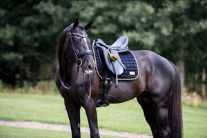 Equito Zadeldek - Black Gold - Horse Musthaves