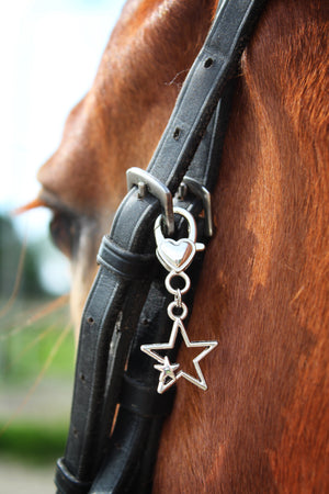 Hoofdstel Bedel - You're My Star