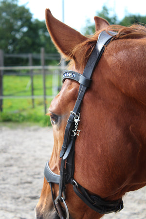 Hoofdstel Bedel - You're My Star