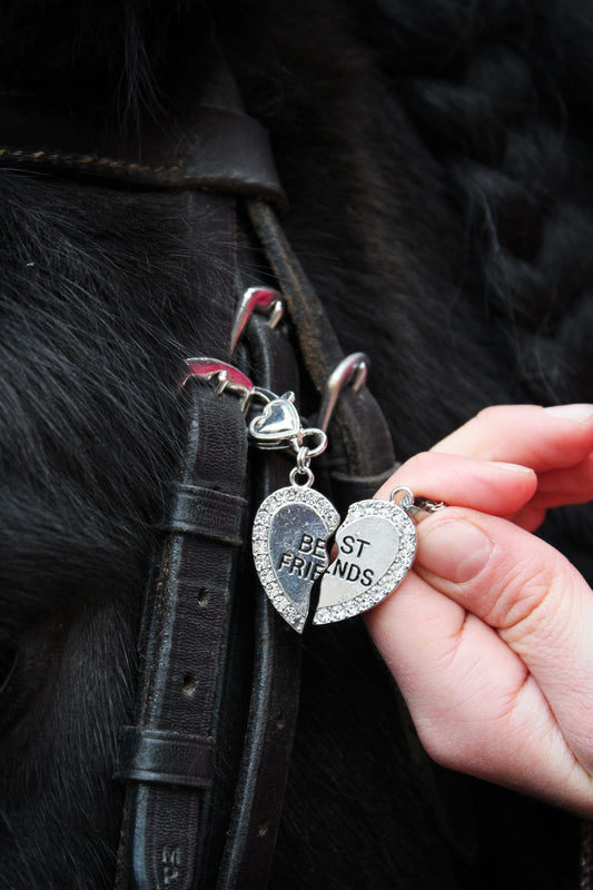 BFF Set voor Paard & Ruiter