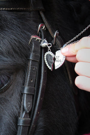 BFF Set voor Paard & Ruiter