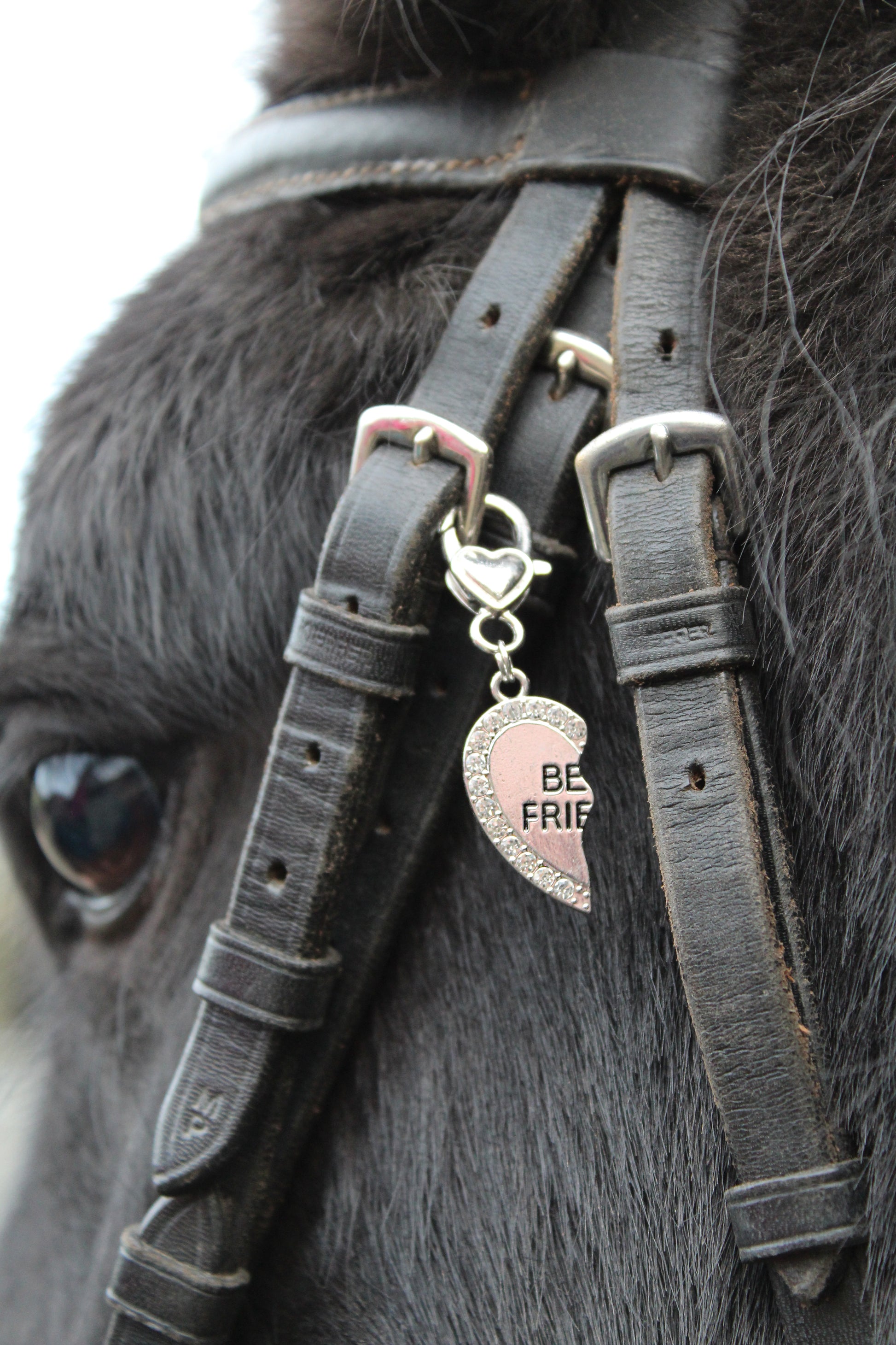 BFF Set voor Paard & Ruiter