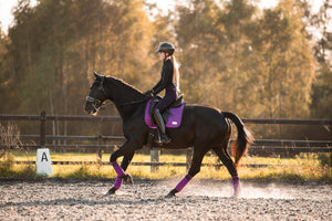 Equito Zadeldek - Vivid Viola - Horse Musthaves