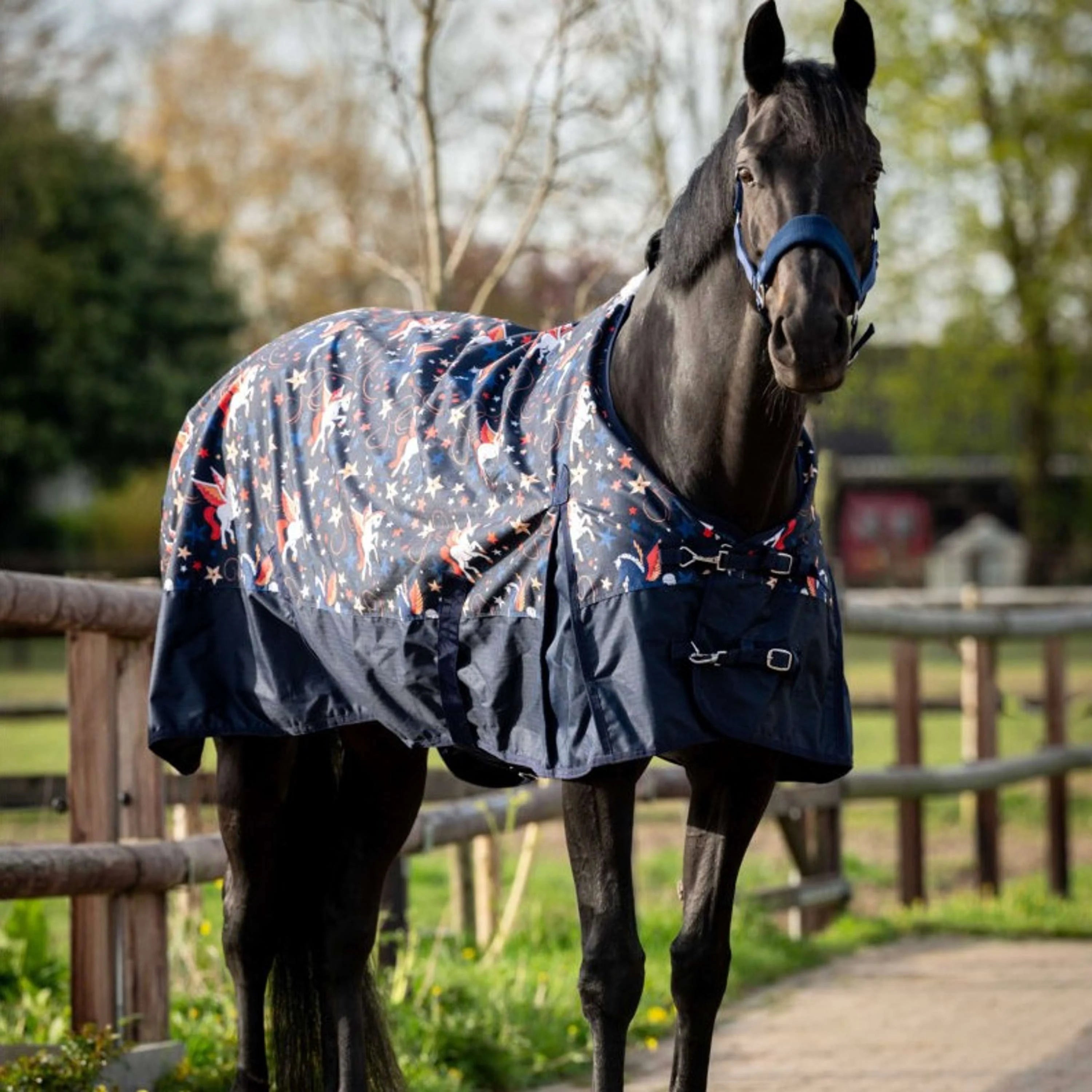 HB Outdoor Flying Horse