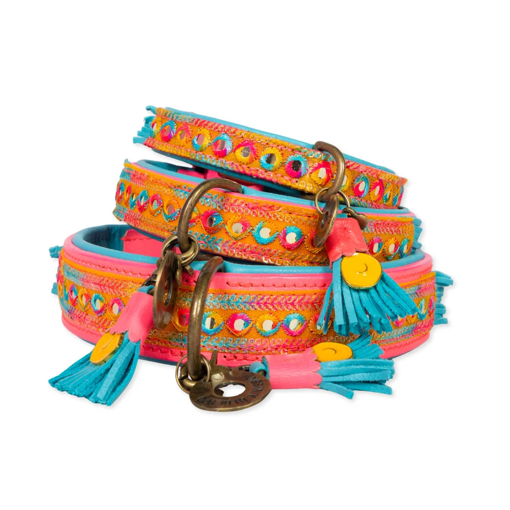 DWAM Indian Summer Hondenhalsband