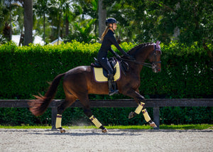 Equito Bandages - Limoncello - Horse Musthaves