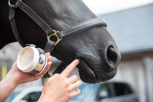 Smart Grooming Lip & Bit Balsem