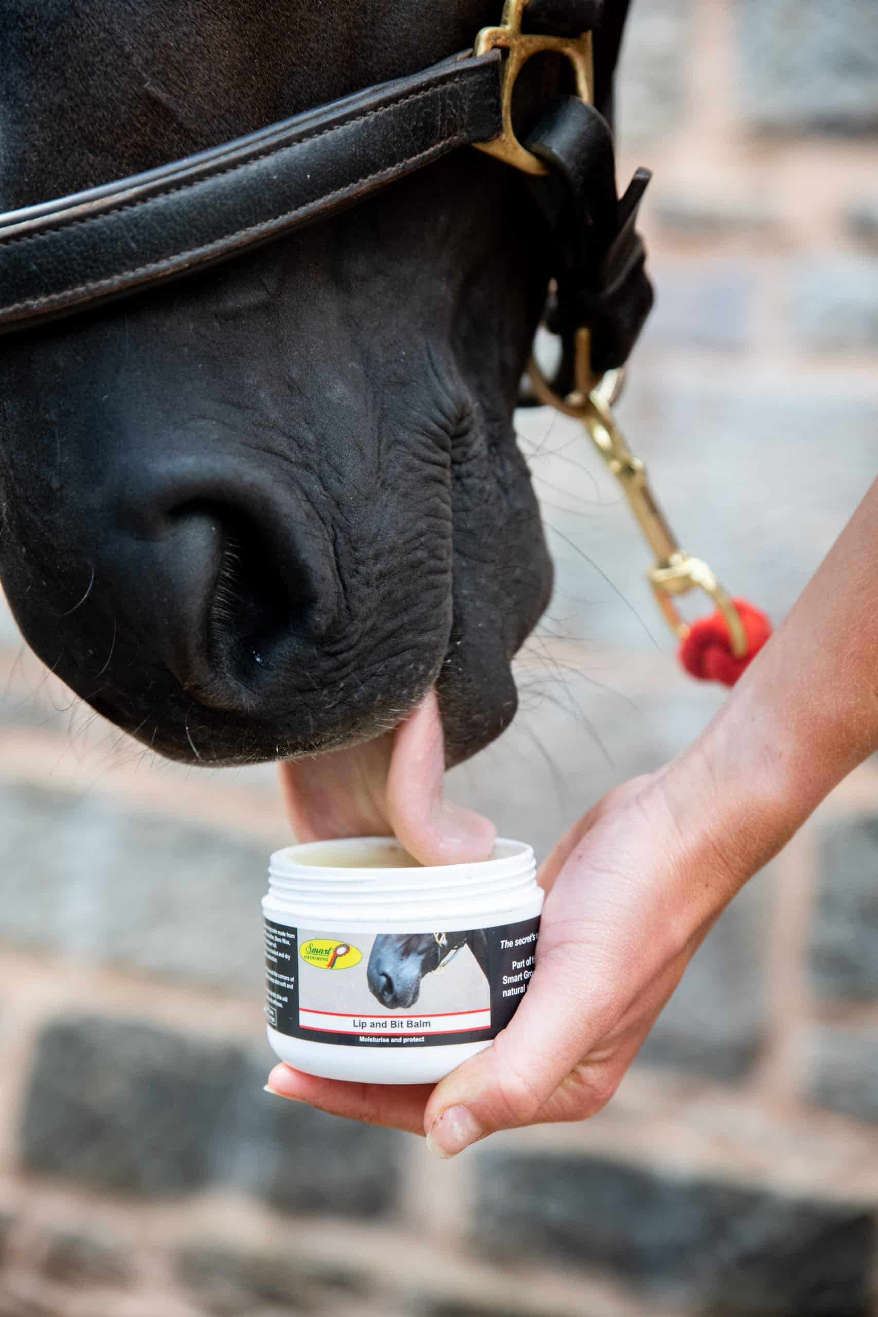 Smart Grooming Lip & Bit Balsem