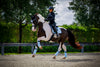Equito Bandages - Morning Sky - Horse Musthaves