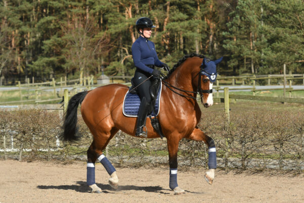 Equito Base Layer - Navy Shimmer