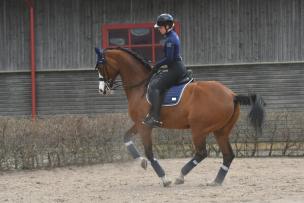 Equito Base Layer - Navy Shimmer