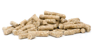 Horsefood Prestatiebrok - Horse Musthaves