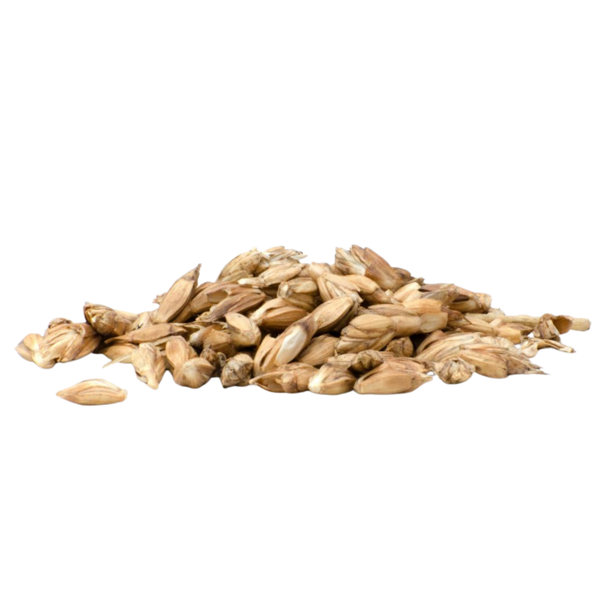 Horsefood Spelt