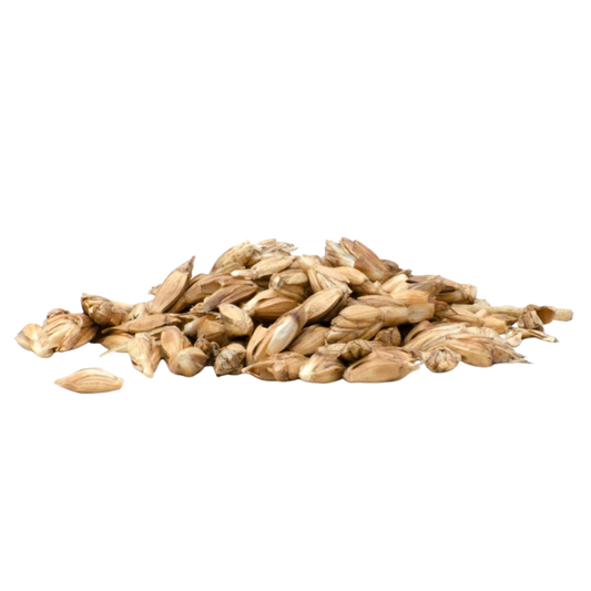 Horsefood Spelt