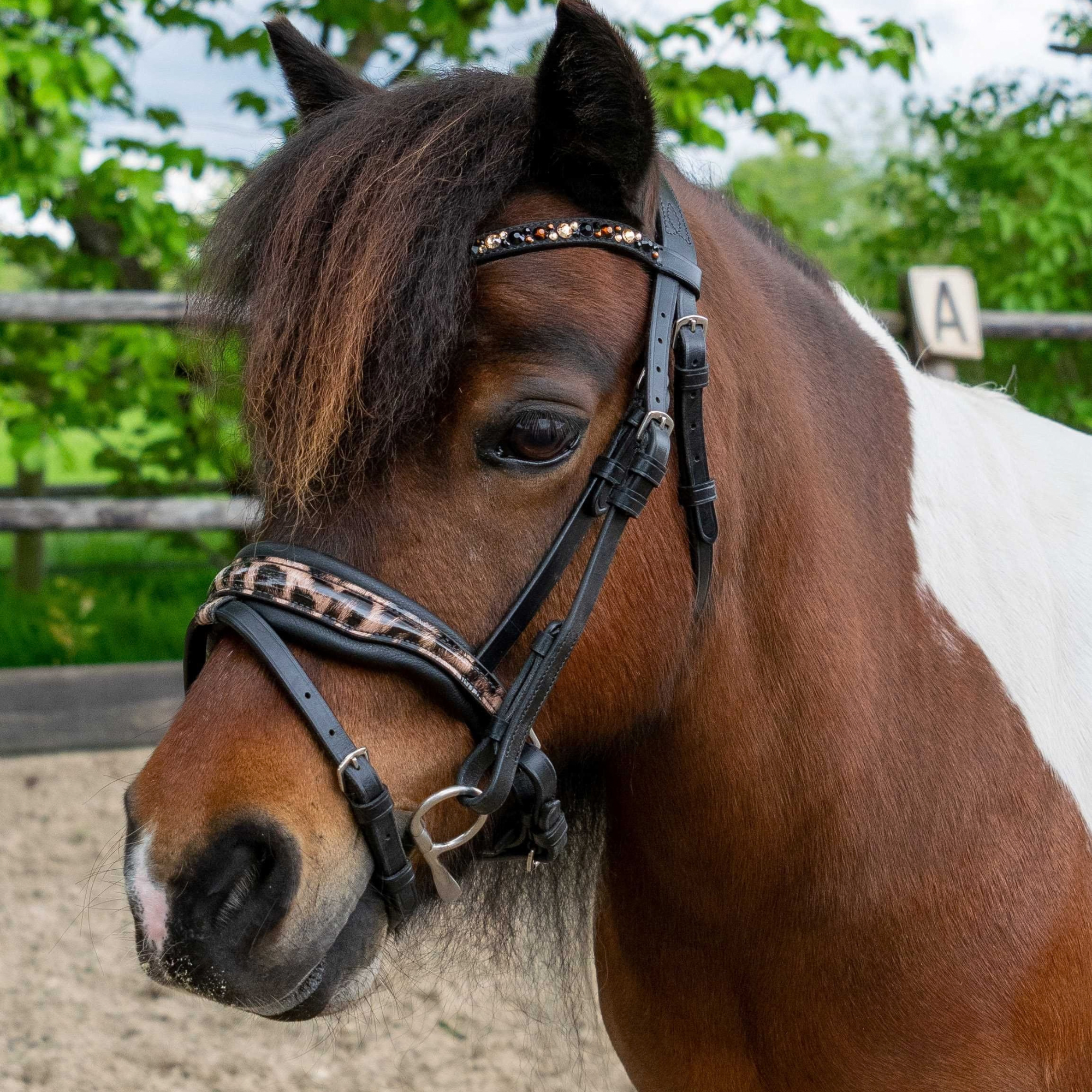 HB Showtime Hoofdstel Luipaard Little Sizes