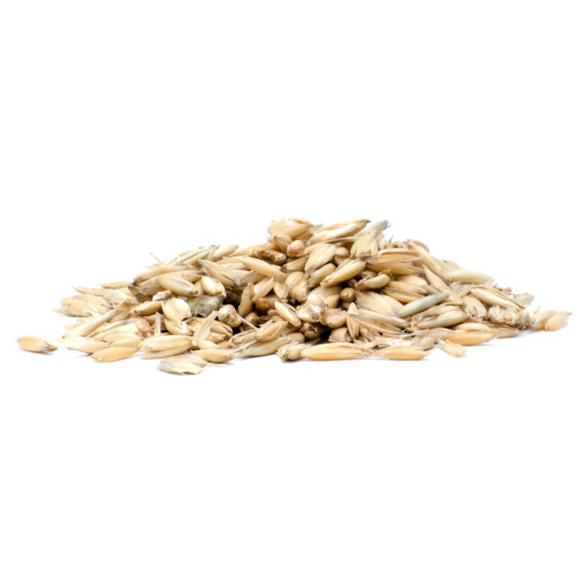 Horsefood Geplette Haver