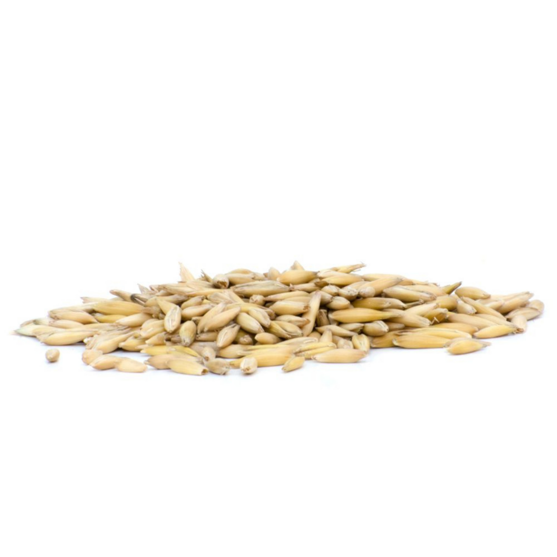 Horsefood Gepunte Haver