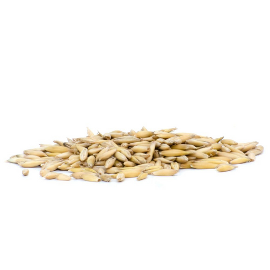 Horsefood Gepunte Haver
