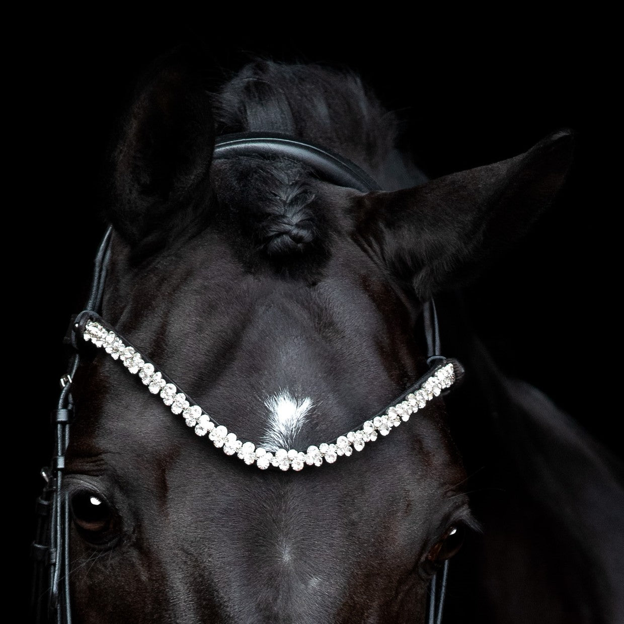 SD® Romanov Frontriem (Zilver)