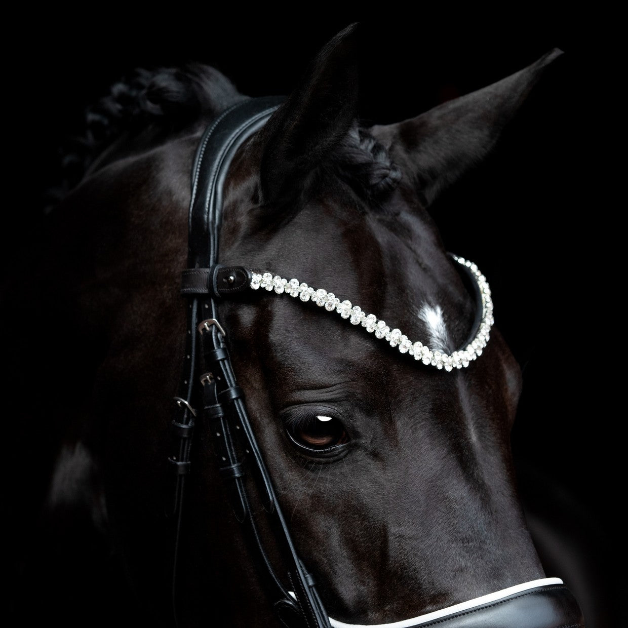 SD® Romanov Frontriem (Zilver)