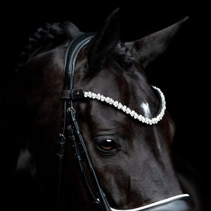 SD® Romanov Frontriem (Zilver)
