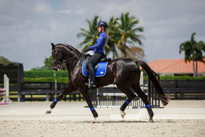 Equito Bandages - Royal Blue - Horse Musthaves